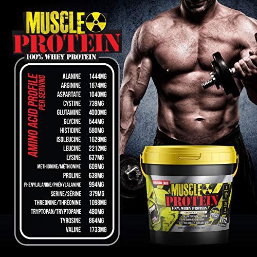 Muscle Protein Whey Powder Chocolate, Cold Filtered, 25g Protein H73234