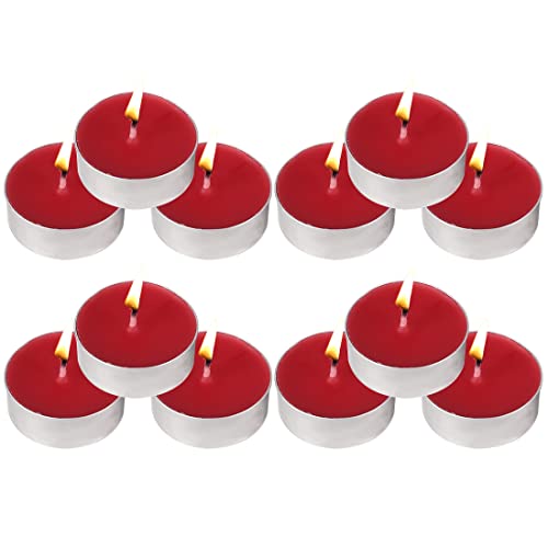 Tea Lights Candles - 12 Pack Brown Tealights Candle Scented Cinnamon Small Candle for Home, Holiday, Wedding & Party,Dinner Table, Halloween Christmas and Holiday (Brown Cinnamon)