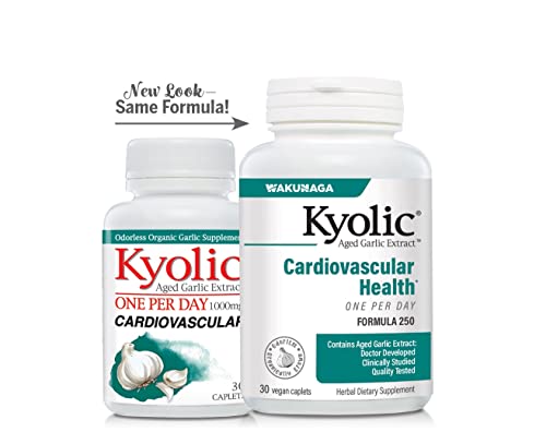 Kyolic Aged Garlic Extract Formula 250, 60 Vegan Capsules T207819