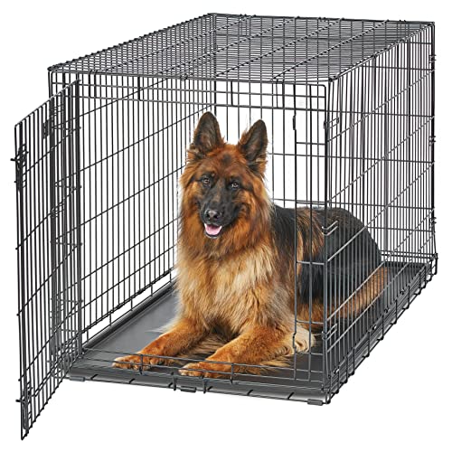 MidWest Homes for Pets XL Dog Crate | MidWest Life Stages Folding Metal Crate | Divider Panel, Floor Protecting Feet, Leak-Proof Pan | 48L x 30W x 33H Inches, XL Dog Breed