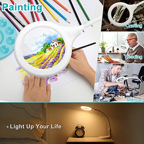 5X Magnifying Glass with Light and Clamp, Flexible Gooseneck LED Desk Lamp R4600
