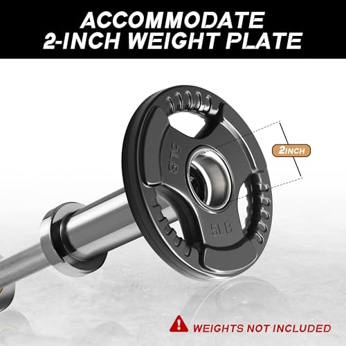 RITFIT 16"/20" Olympic Dumbbell Handles Pair with Collars for 2" Weight Plates I425