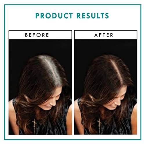 Rita Hazan Root Concealer Touch Up Spray 2 oz L57234