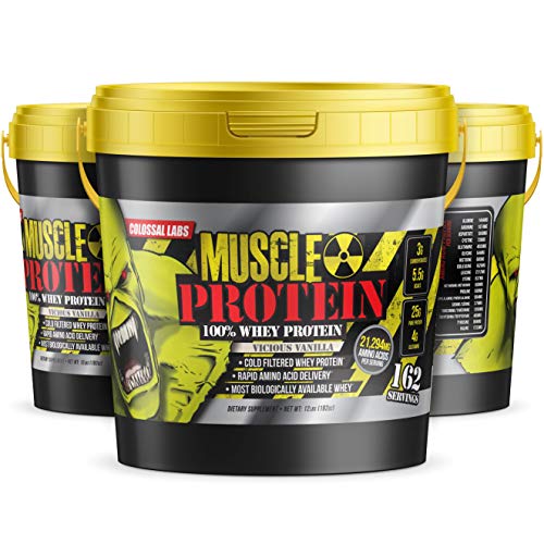Muscle Protein Whey Powder Chocolate, Cold Filtered, 25g Protein H73234