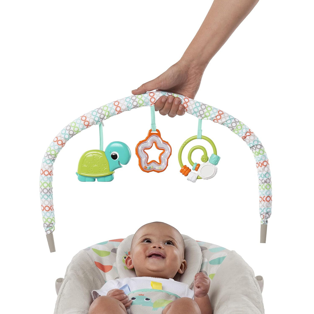 Bright Starts Baby Bouncer Soothing Vibrations Infant Seat with Taggies, Music & Toy Bar A498013