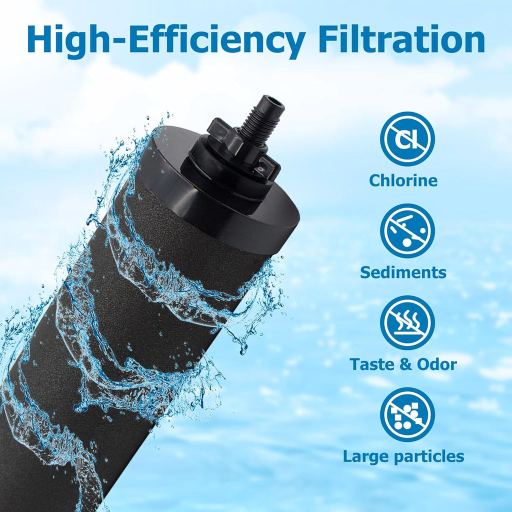 Berkey® BB9-2 Black Activated Carbon Water Filter Replacement, Pack of 2 Y159