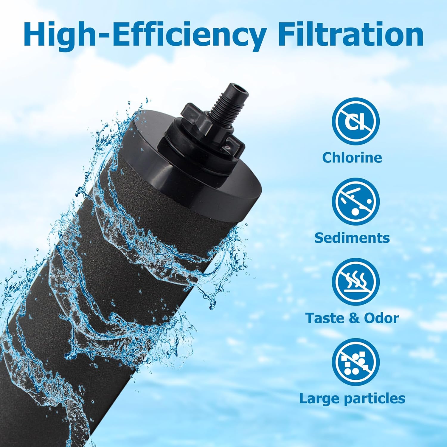 Berkey® BB9-2 Black Activated Carbon Water Filter Replacement, Pack of 2 Y159