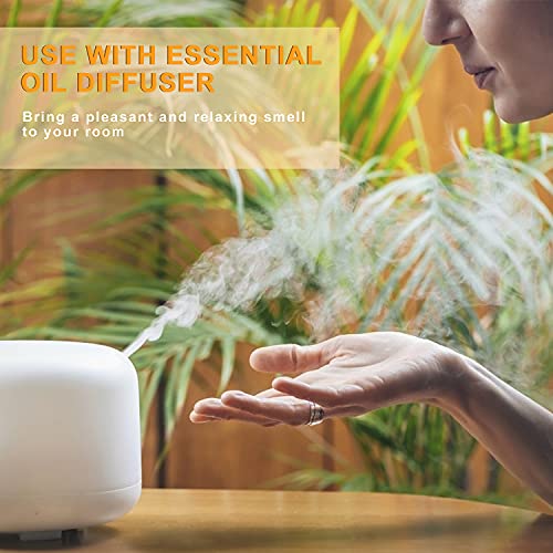 Bergamot Essential Oil for Diffuser, 2 Pack Z946