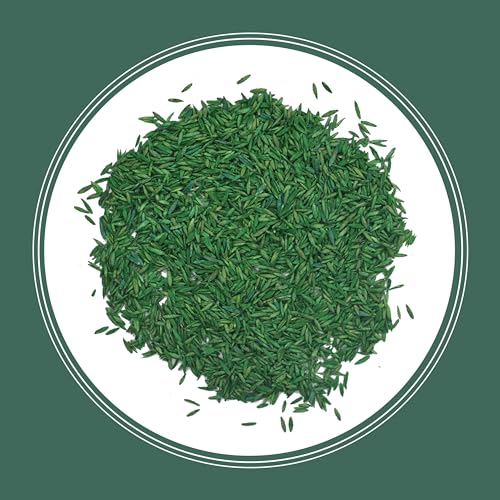 Pennington Kentucky 31 Tall Fescue Grass Seed 20 lb & UltraGreen Starter Lawn Fertilizer 14 lb C168018