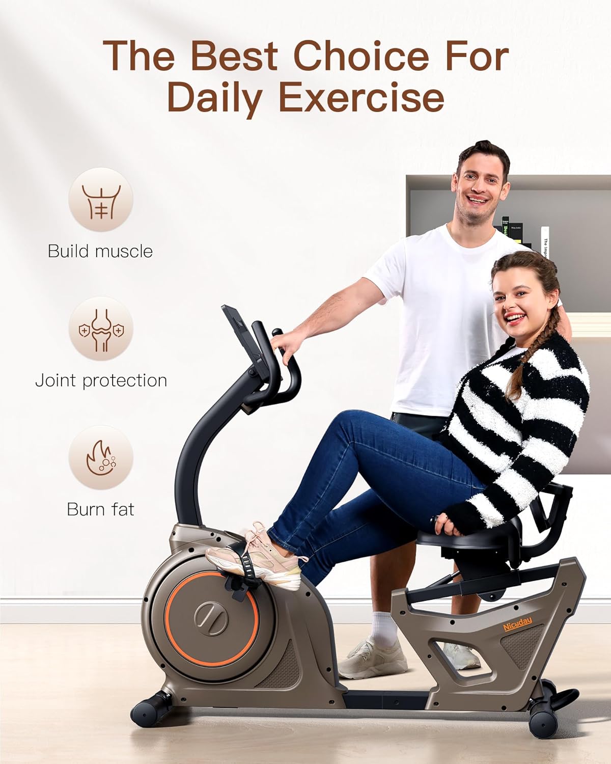 Niceday Elliptical Machine & Recumbent Exercise Bike, 16 Resistance Levels S516