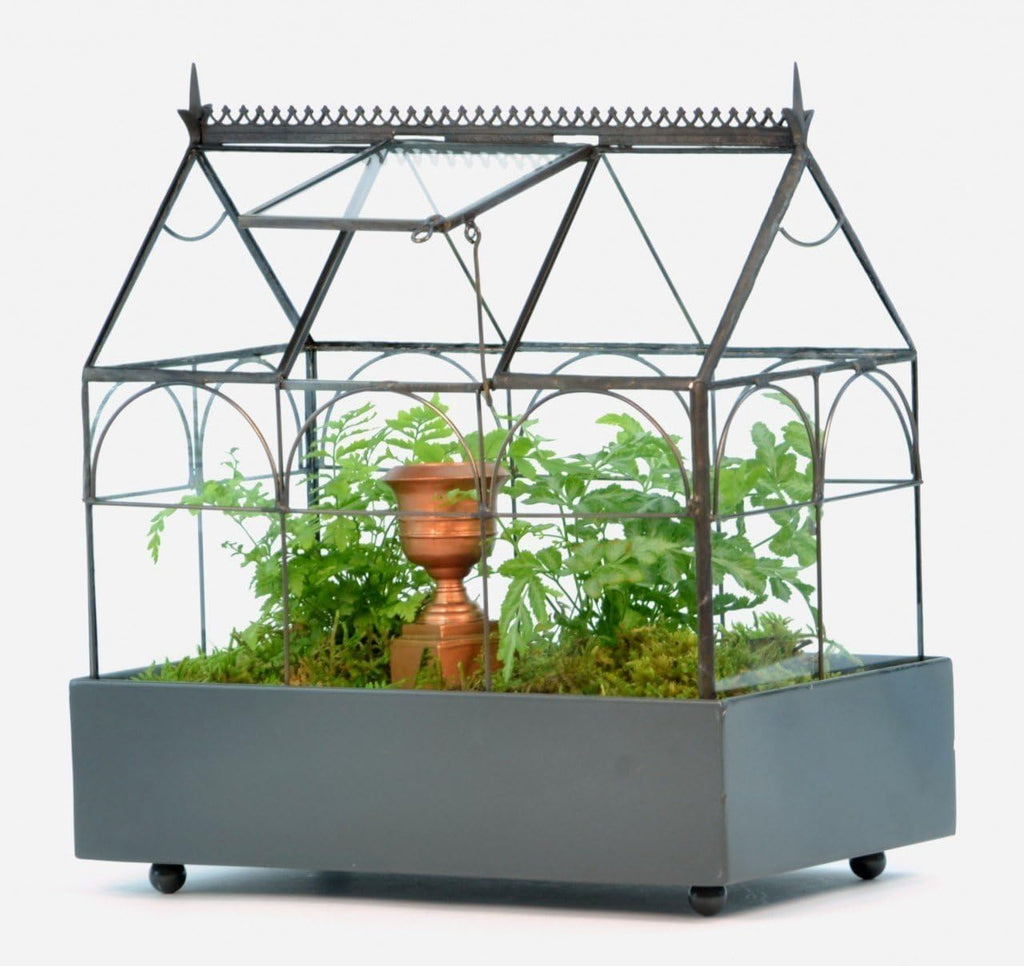 H Potter Glass Terrarium Planter Wardian Case S252