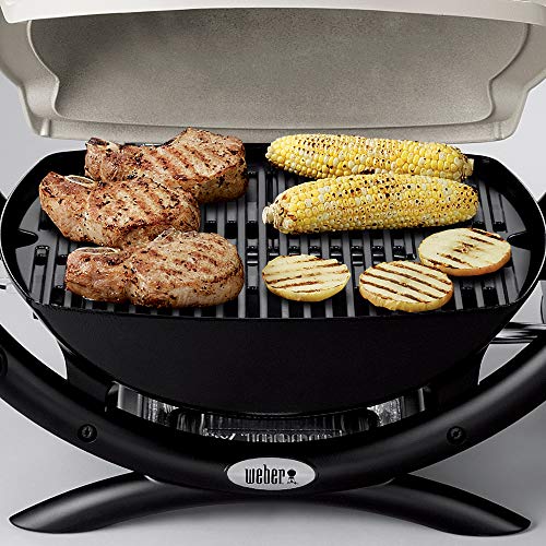 Weber Q1000 Liquid Propane Grill, Titanium T649312