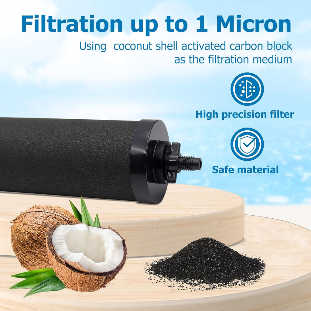 Berkey® BB9-2 Black Activated Carbon Water Filter Replacement, Pack of 2 Y159