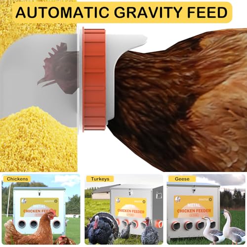 Automatic Chicken Feeder No Waste Metal Poultry Feeder 85lbs 10-Port W76893