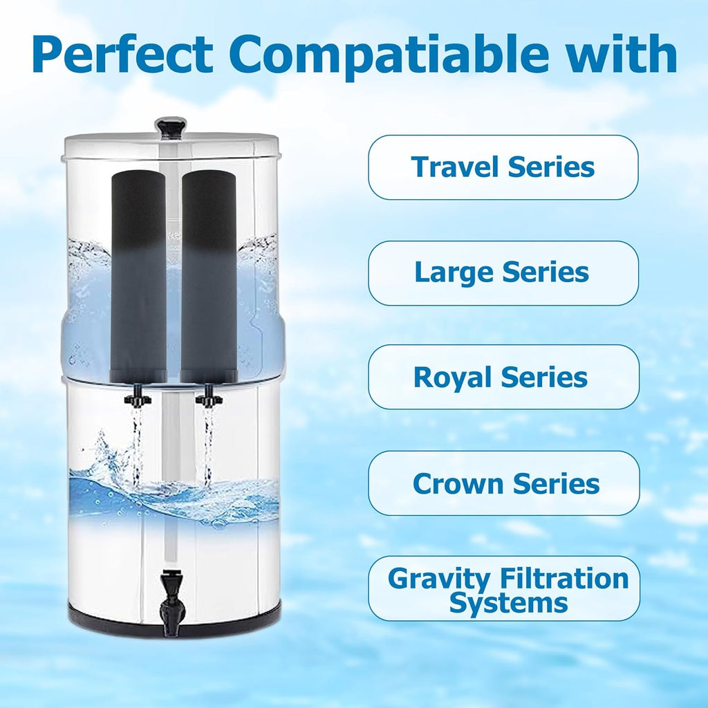 Berkey® BB9-2 Black Activated Carbon Water Filter Replacement, Pack of 2 Y159