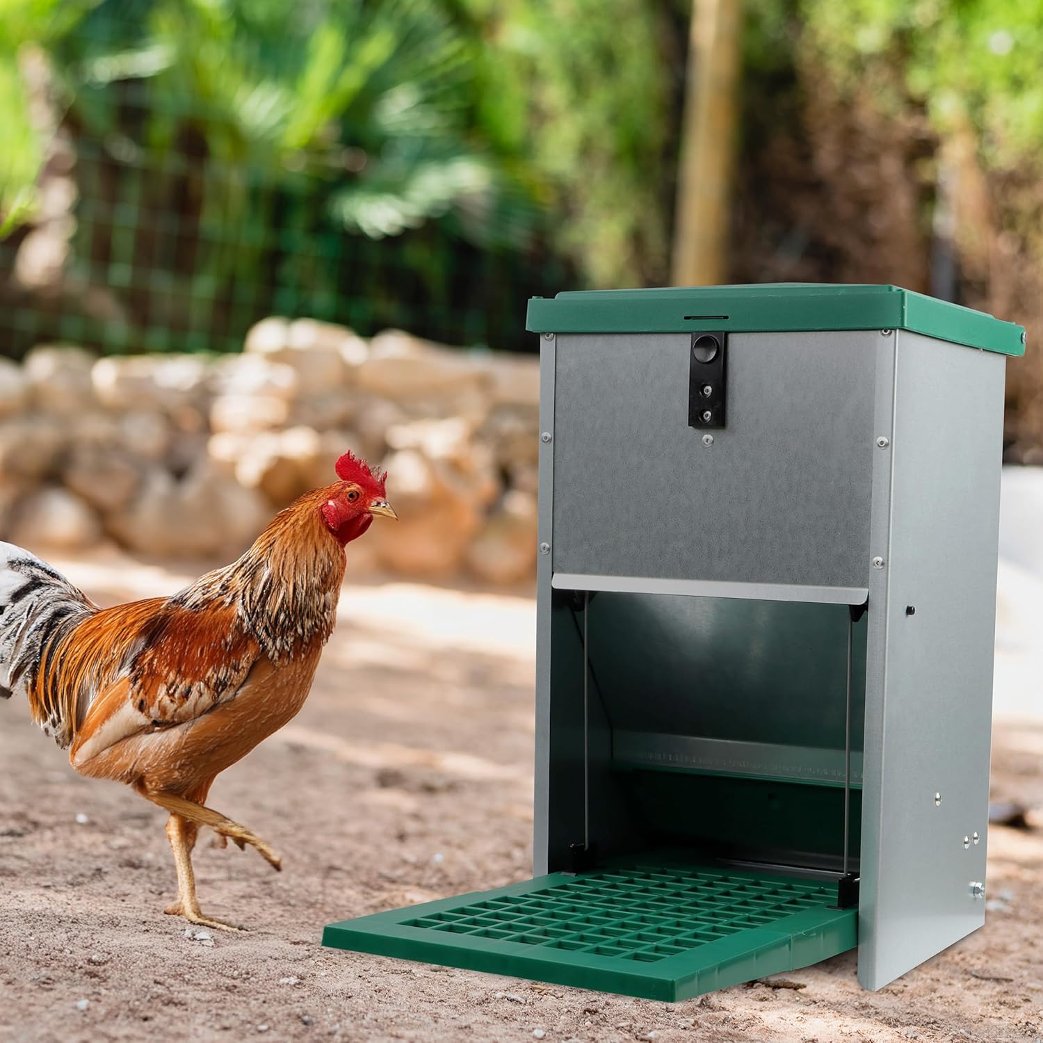 Chicken Treadle Feeder - 17.6 lb Capacity, Automatic Pressure Lever System H859