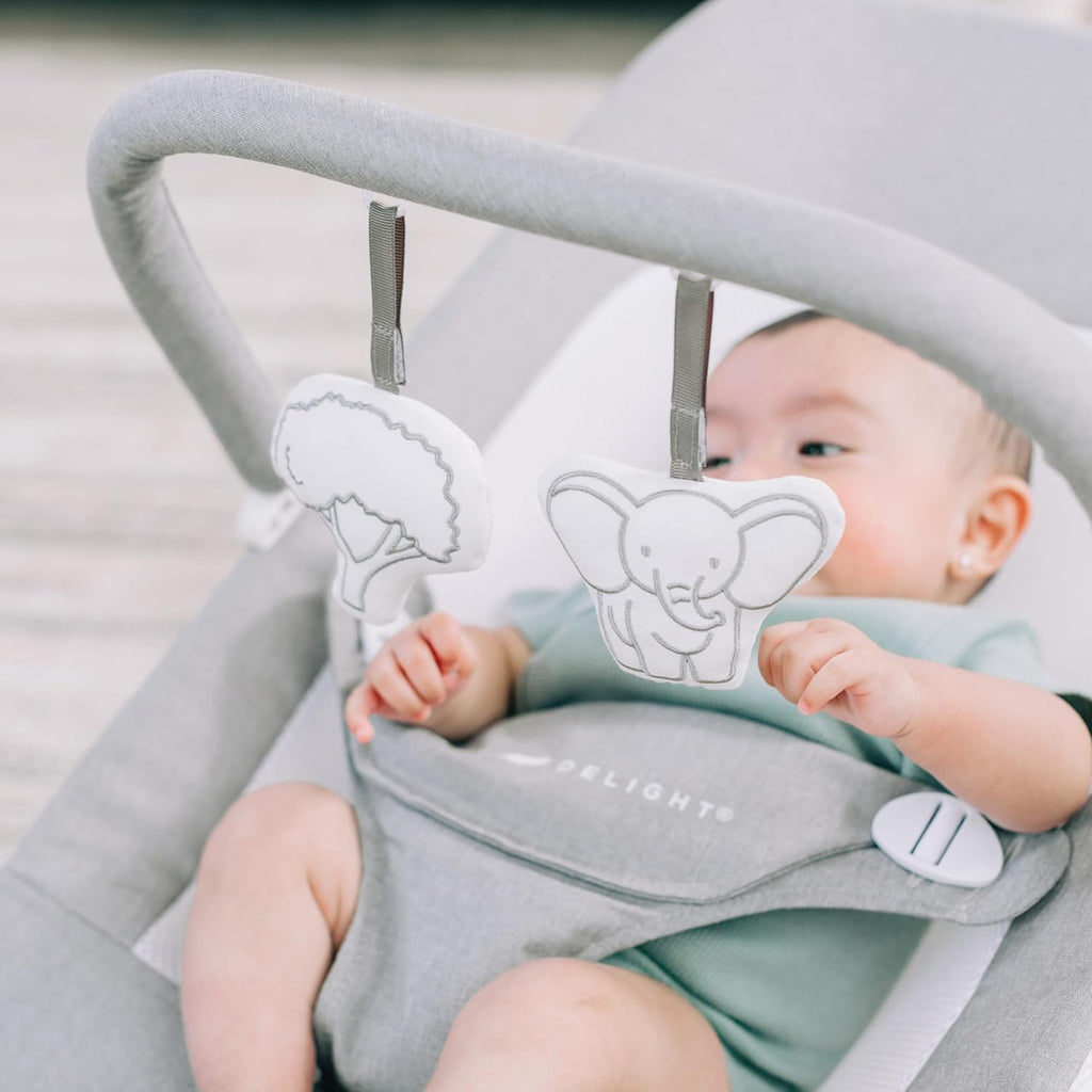 Baby Delight Highland Baby Bouncer Infant 0-6 Months Pebble Grey O29795