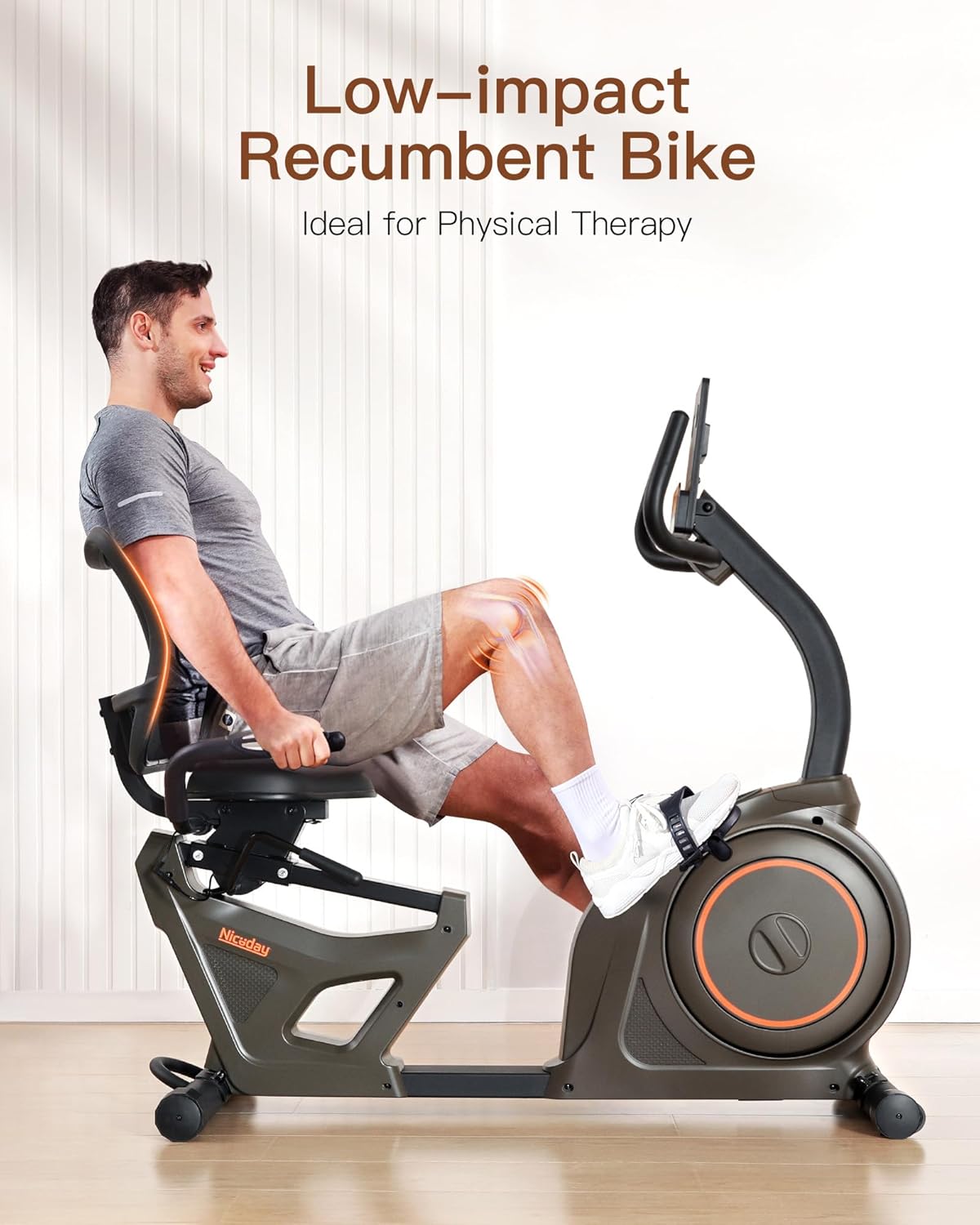 Niceday Elliptical Machine & Recumbent Exercise Bike, 16 Resistance Levels S516