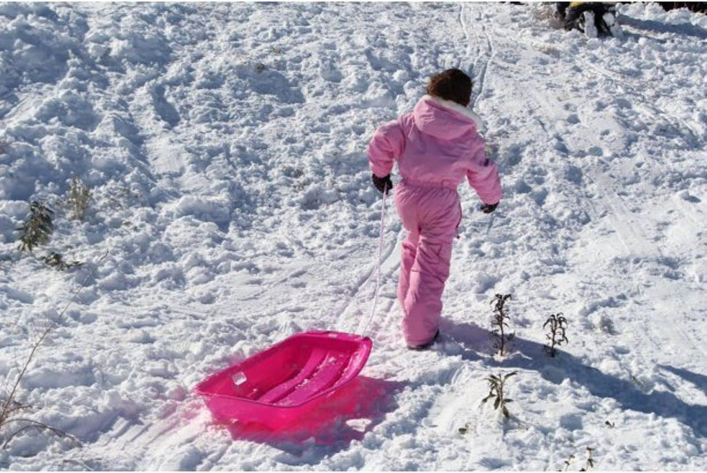Downhill Sprinter Kids Toddler Snow Sled with Pull Rope, Red (2 Pack) N98704