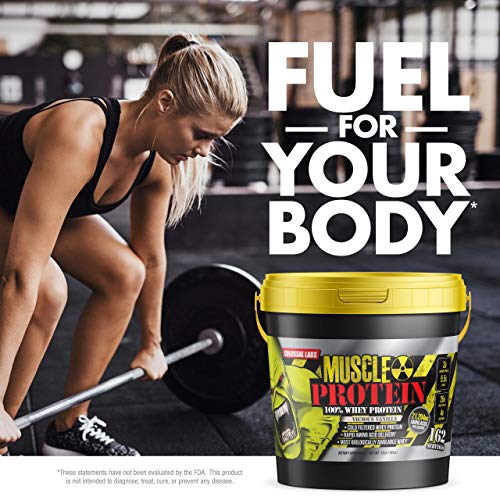 Muscle Protein Whey Powder Chocolate, Cold Filtered, 25g Protein H73234