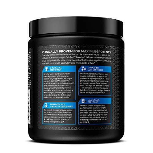 MuscleTech Platinum Pure Micronized Creatine Monohydrate Powder, Unflavored, 80 Servings R1724