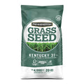 Pennington Kentucky 31 Tall Fescue Grass Seed 20 lb & UltraGreen Starter Lawn Fertilizer, 14 LBS, Covers 5000 sq ft