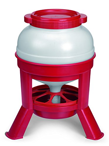 Little Giant® Plastic Dome Feeder | Heavy Duty Plastic Gravity Fed Poultry Feed Container Tank | Backyard Poultry for Hobbyists, Farmers and Ranchers | 45 LB