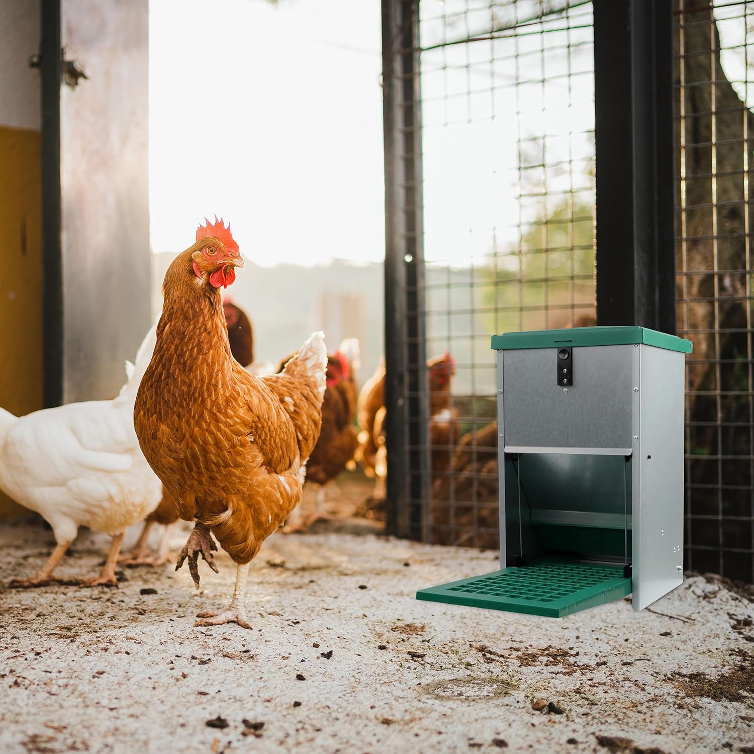 Chicken Treadle Feeder - 17.6 lb Capacity, Automatic Pressure Lever System H859