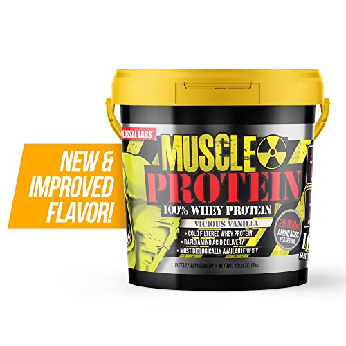 Muscle Protein Whey Powder Chocolate, Cold Filtered, 25g Protein H73234