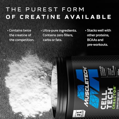 MuscleTech Platinum Pure Micronized Creatine Monohydrate Powder, Unflavored, 80 Servings R1724