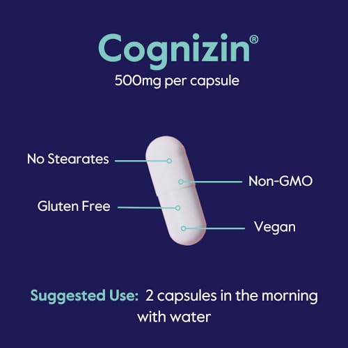BESTVITE Cognizin Citicoline 500mg, 120 Vegetarian Capsules, Vegan, Non-GMO T835