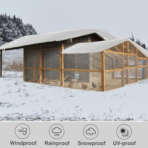 9.8x8.2 Ft Thicken Clear Waterproof Tarp with Grommets P5388