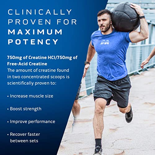 MuscleTech Platinum Pure Micronized Creatine Monohydrate Powder, Unflavored, 80 Servings R1724