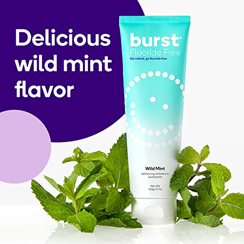 BURST Fluoride Free Toothpaste with Xylitol, Wild Mint, 4.7oz (2 Pack) R81734