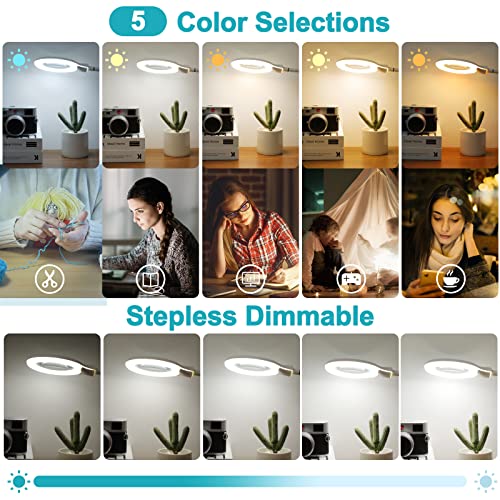 5X Magnifying Glass with Light and Clamp, Flexible Gooseneck LED Desk Lamp R4600