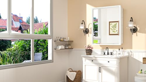 TokeShimi Recessed Medicine Cabinet with Mirror, Wall Mounted, Silver 16x24 J35200