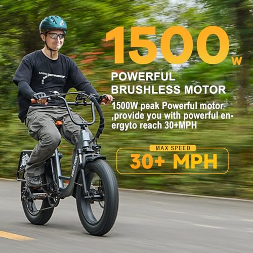 Electric Bike for Adults 1500W 48V 18Ah Removable Battery 20" Fat Tire 7-Speed H481