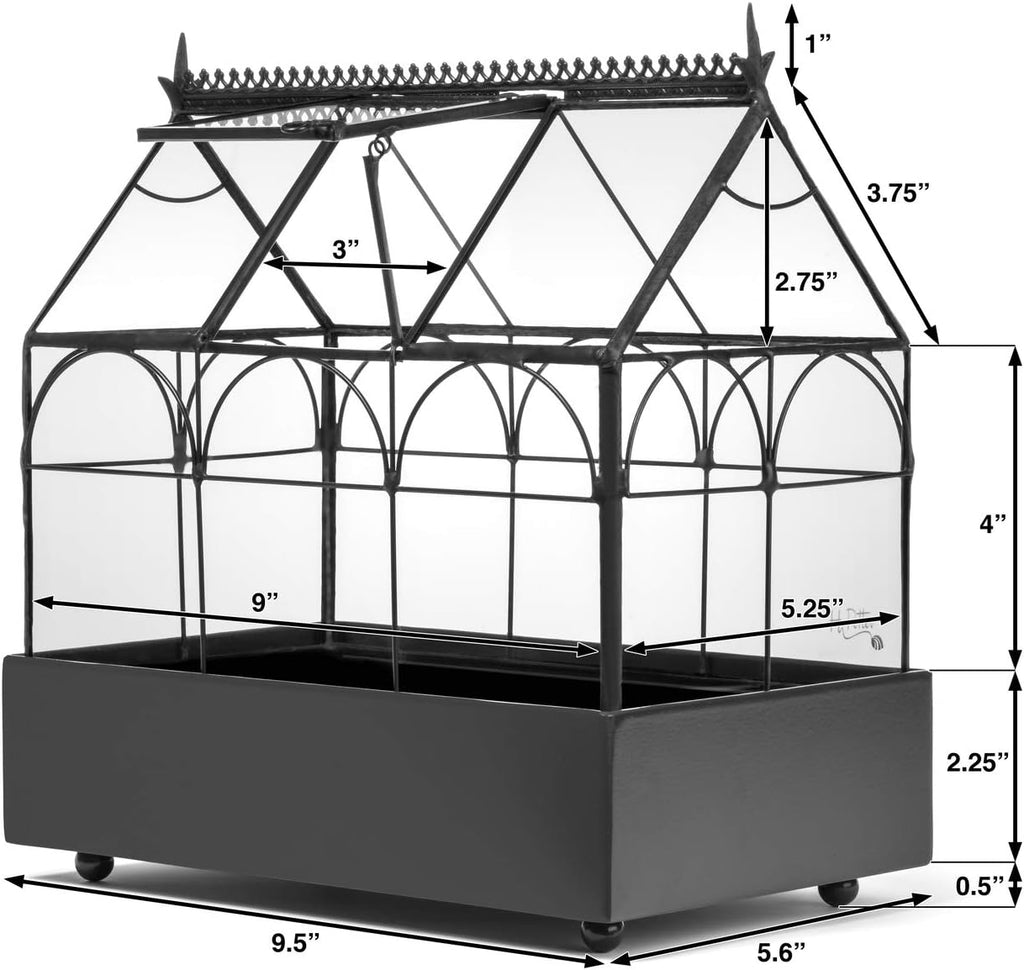 H Potter Glass Terrarium Planter Wardian Case S252