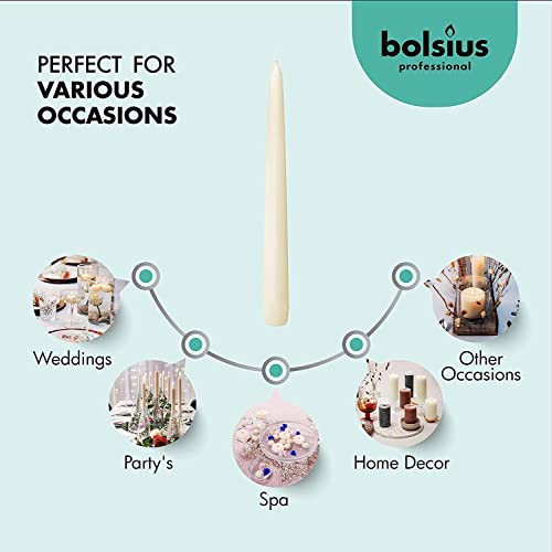 BOLSIUS Ivory Taper Candles 10 Inch, 100 Count Bulk Pack S818