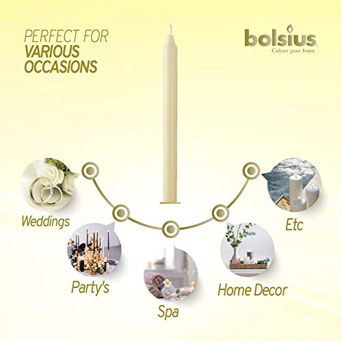 BOLSIUS Ivory Candlesticks 11.5 Inch Unscented Dripless Bulk Pack 50 Count N953
