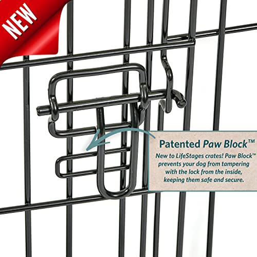 MidWest Homes for Pets XL Dog Crate Folding Metal with Divider Panel, 48L x 30W x 33H X9991