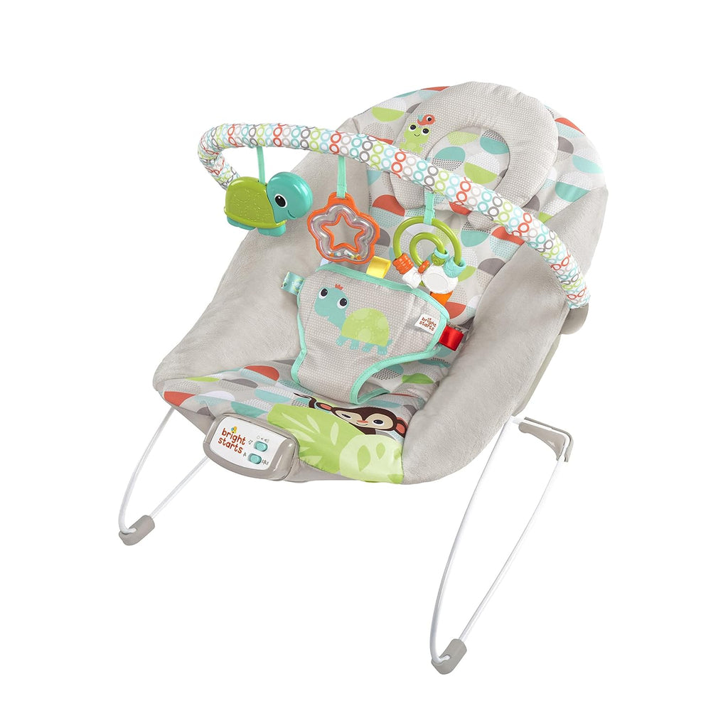 Bright Starts Baby Bouncer Soothing Vibrations Infant Seat with Taggies, Music & Toy Bar A498013
