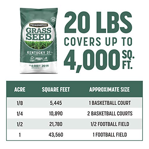 Pennington Kentucky 31 Tall Fescue Grass Seed 20 lb & UltraGreen Starter Lawn Fertilizer 14 lb C168018