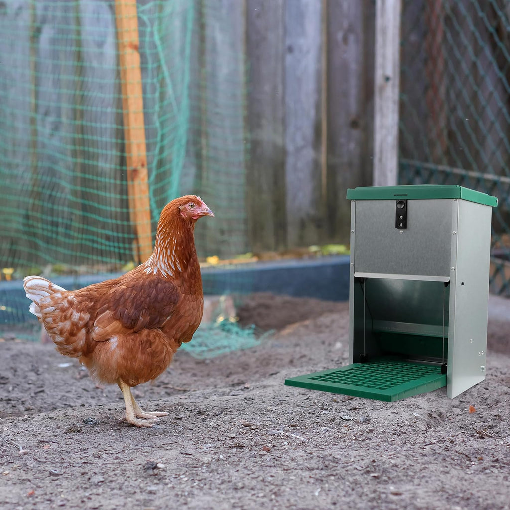 Chicken Treadle Feeder - 17.6 lb Capacity, Automatic Pressure Lever System H859
