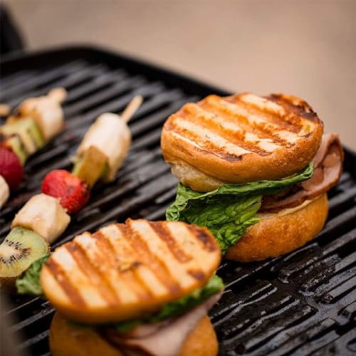 Weber Q1200 Liquid Propane Grill, Green R42791