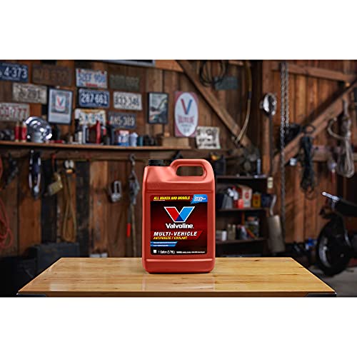 Valvoline Multi-Vehicle Antifreeze/Coolant Concentrate 1 GA Z651280