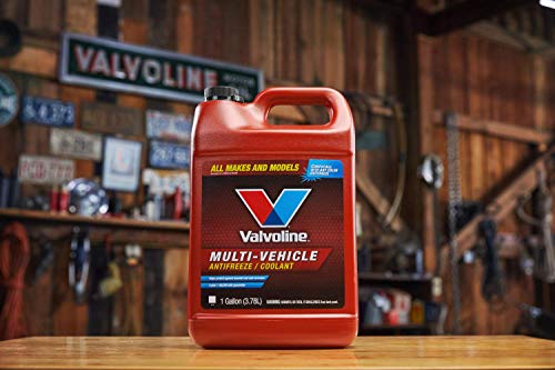 Valvoline Multi-Vehicle Antifreeze/Coolant Concentrate 1 GA Z651280