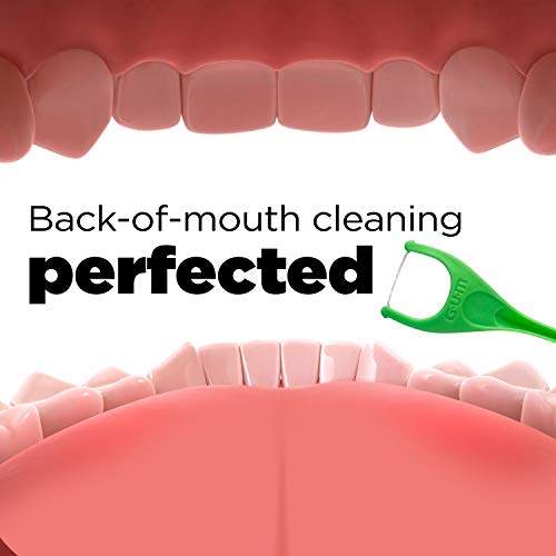 GUM Angled Floss Picks for Adults, Extra Strong Shred-Resistant, Fresh Mint, 75ct (4pk) J4399