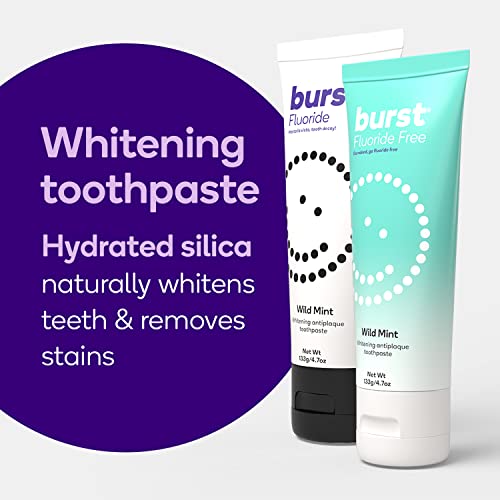 BURST Fluoride Free Toothpaste with Xylitol, Wild Mint, 4.7oz (2 Pack) R81734