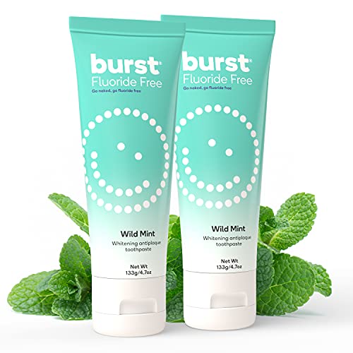 BURST Fluoride Free Toothpaste - Whitening Toothpaste for Stain Removal - Sensitive Toothpaste with Xylitol – Vegan, Gluten Free, SLS Free Toothpaste - Wild Mint, 4.7oz (2 Pack)